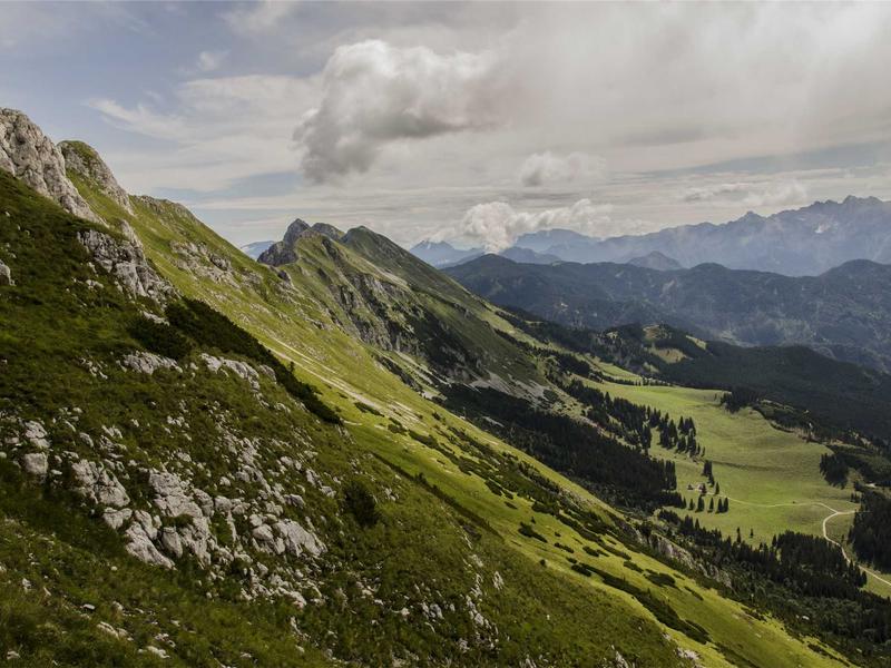 美国末日<br>lyd4nhjn.cn 火萤组织遗志